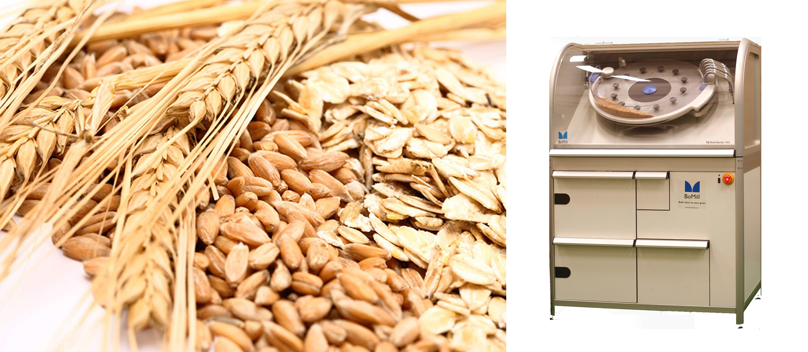 BOMILL IQ GRAIN SORTER